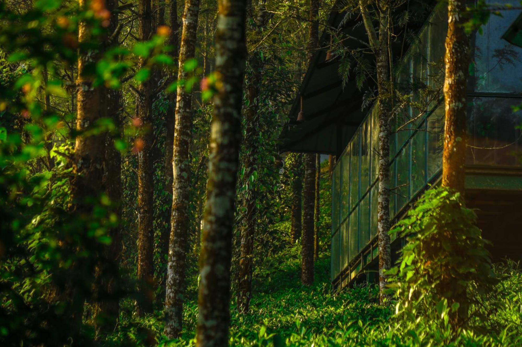 Southern Panorama Indriya Resorts & Spa Munnar Exterior photo